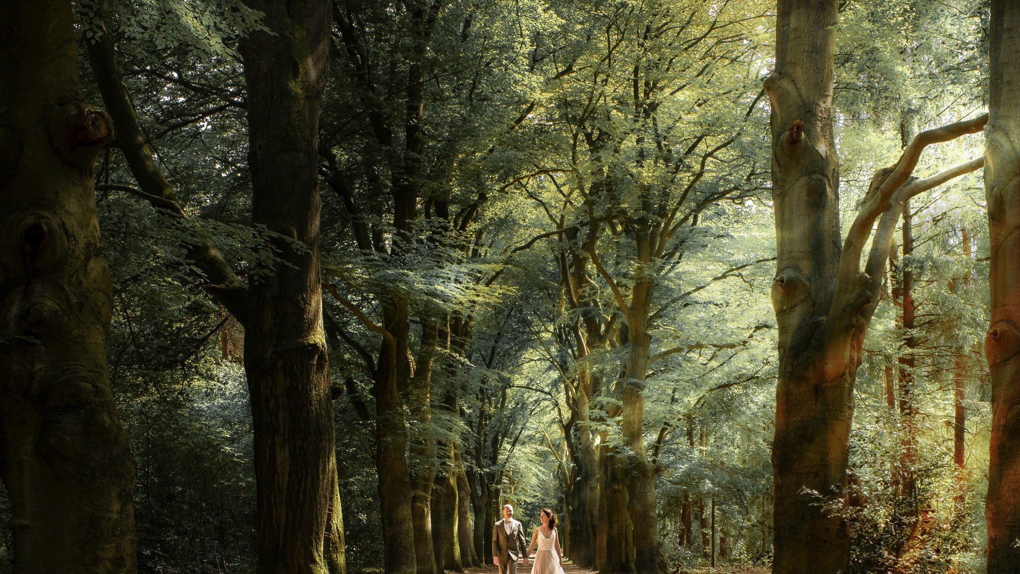 Trouwleverancier-Trouwen-in-het-Bos-14-annemariebruning.com